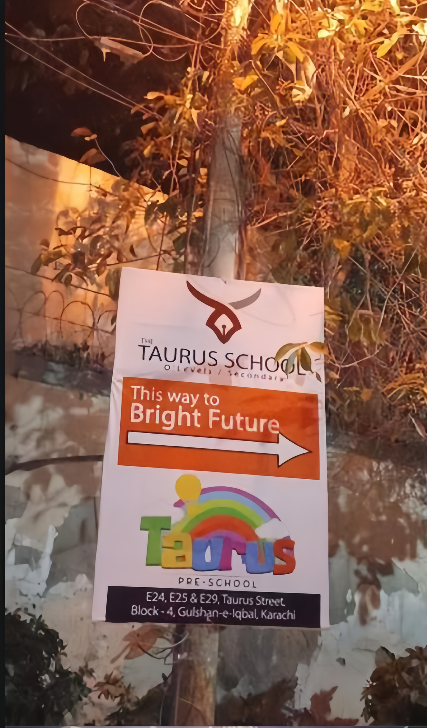 Taurus School